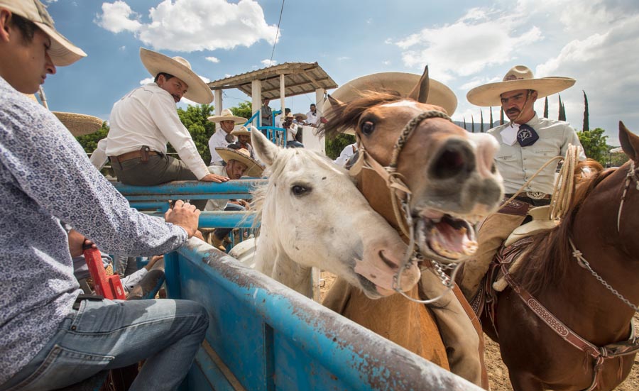 OaxacaCharros_030814_081